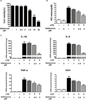 Idebenone Alleviates Neuroinflammation and Modulates Microglial Polarization in LPS-Stimulated BV2 Cells and MPTP-Induced Parkinson’s Disease Mice